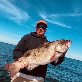 Inshore gag grouper