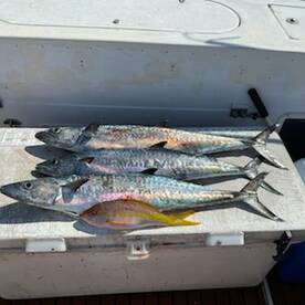 West Palm Beach Report Photo 1