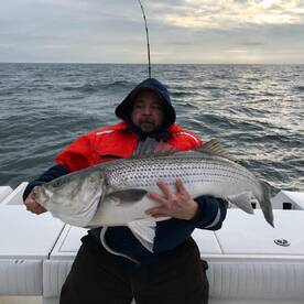 The big Rockfish have already showed up 