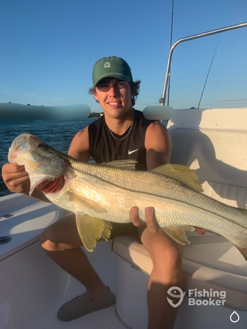 Sarasota Report Photo 0