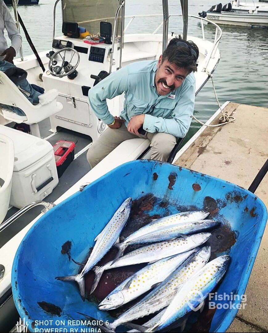 San Jose del Cabo Report Photo 0