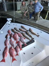 Venice Report Photo 2