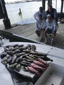 Venice Report Photo 2