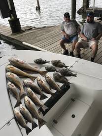 Venice Report Photo 1