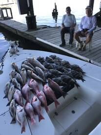 Venice Report Photo 2