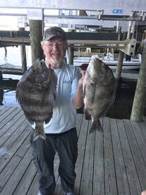 Venice Report Photo 2