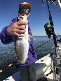 Venice Report Photo 1