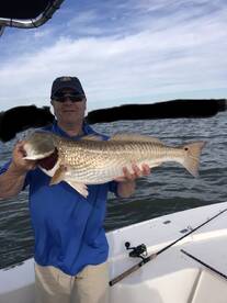 Venice Report Photo 1