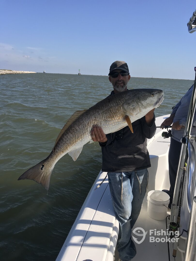 Venice Report Photo 0