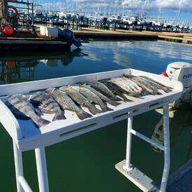 Beaufort Report Photo 2