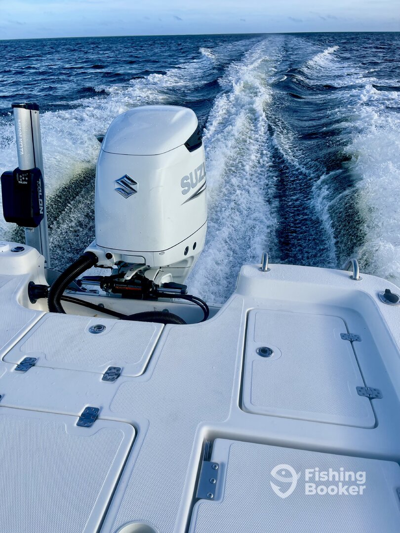 Punta Gorda Report Photo 0