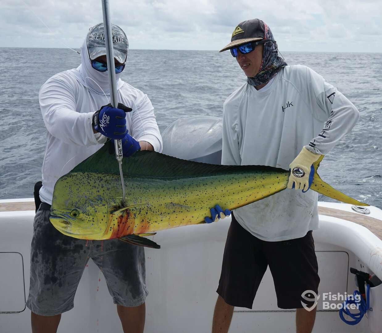 Herradura Report Photo 0