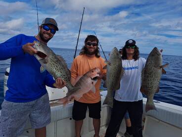 St. Petersburg Report Photo 2