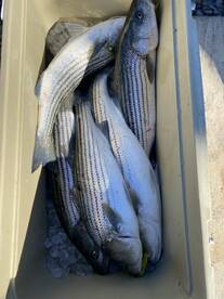 December trips start with a bang