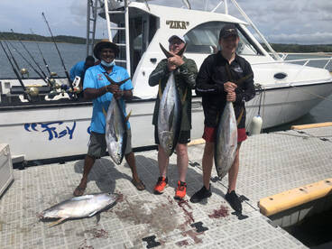 Nalovo Report Photo 1