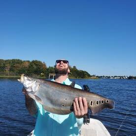 Delray Beach Report Photo 2