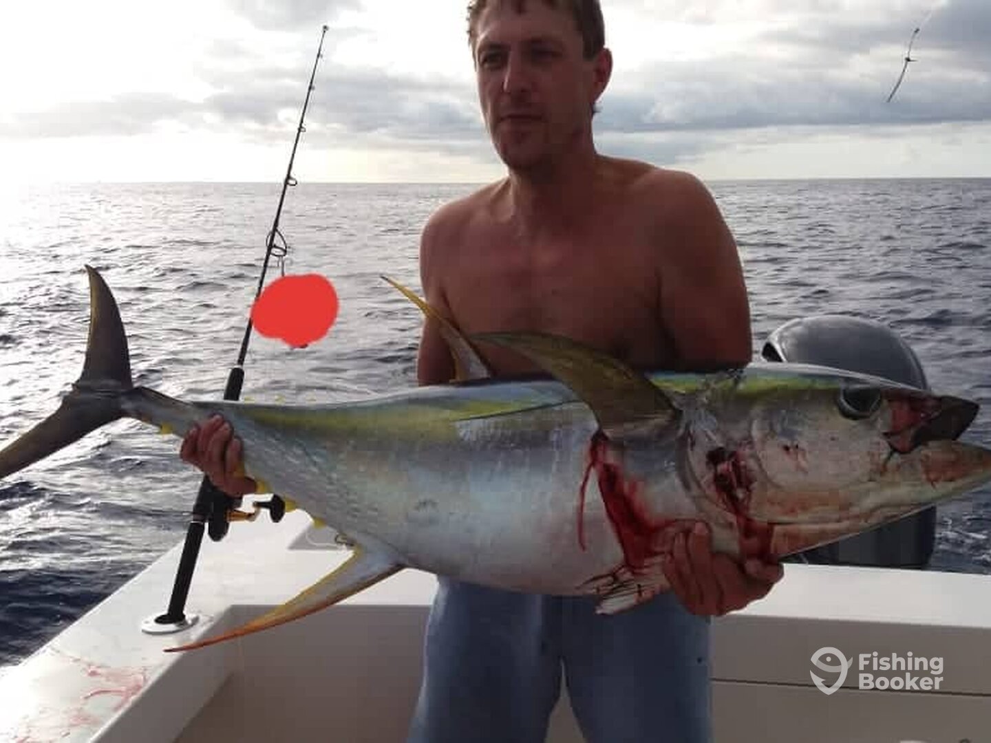 nice tuna on jigging