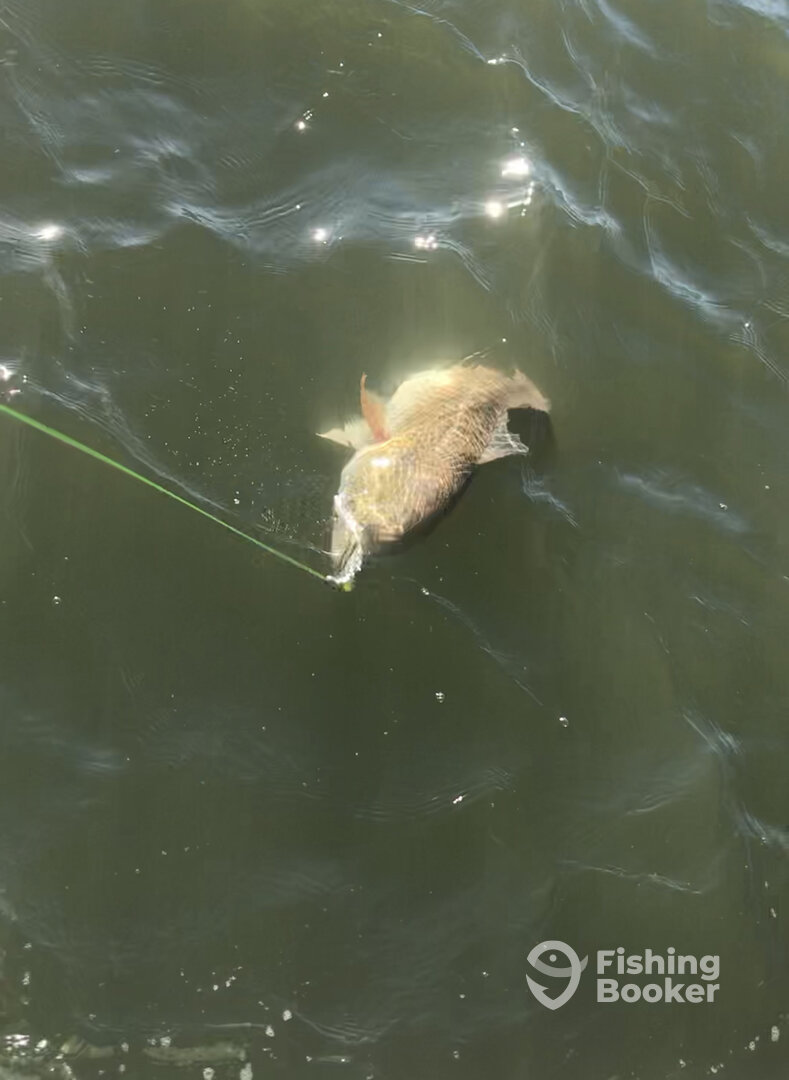 Venice Report Photo 0