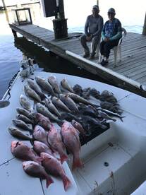 Venice Report Photo 1