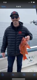 San Diego Report Photo 1