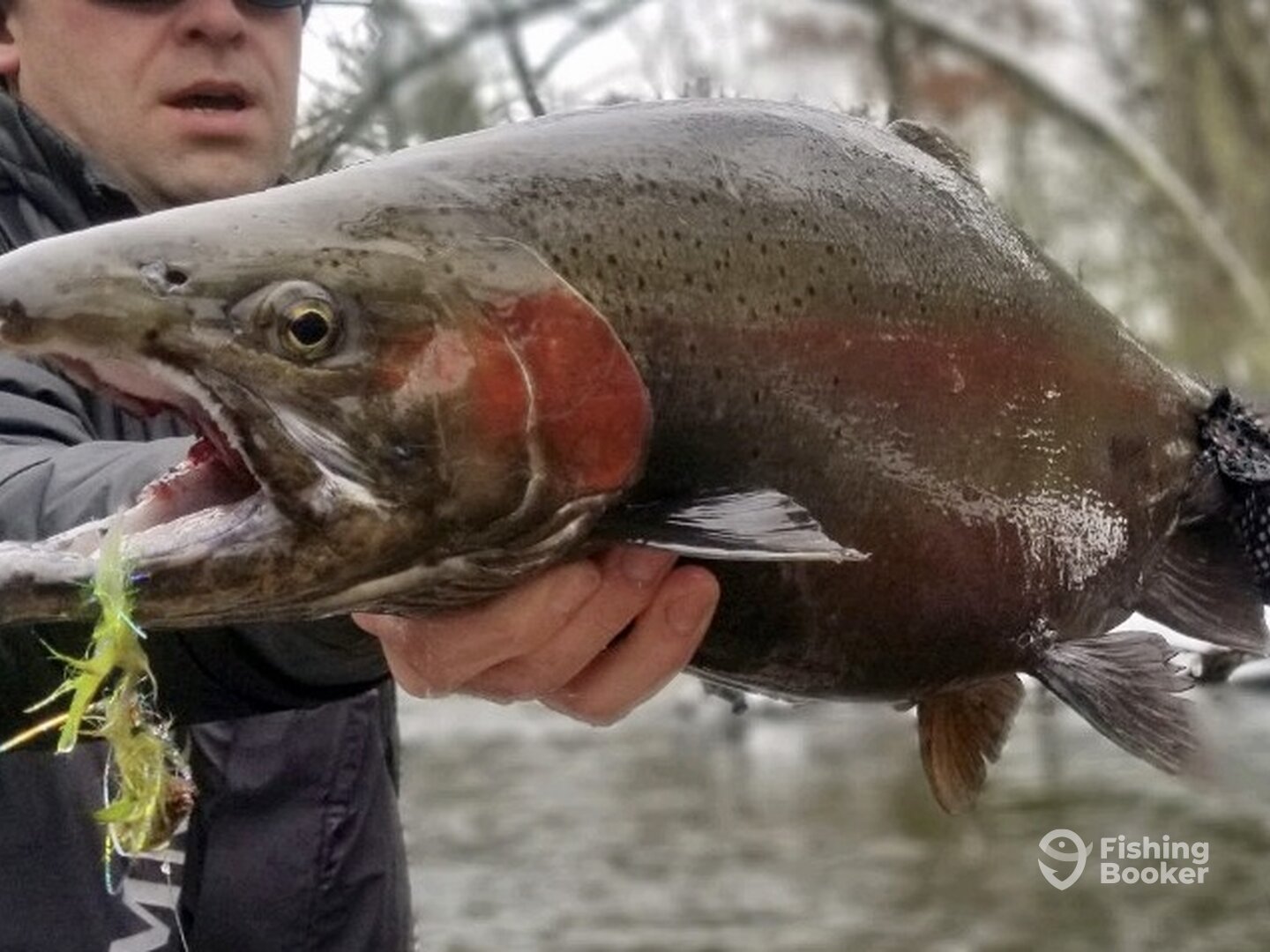 Baldwin Report Photo 0