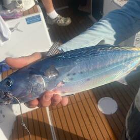 West Palm Beach Report Photo 2