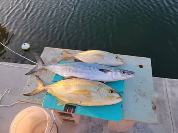 Backcountry Winter Fishing is Heating Up