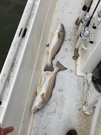 Port O'Connor Report Photo 2