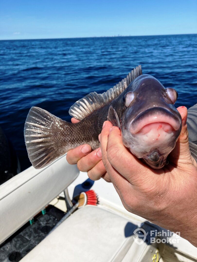 Brigantine Report Photo 0