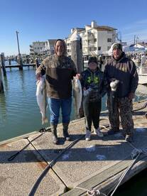 Brigantine Report Photo 2