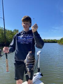 Big Sheepshead are Chewing