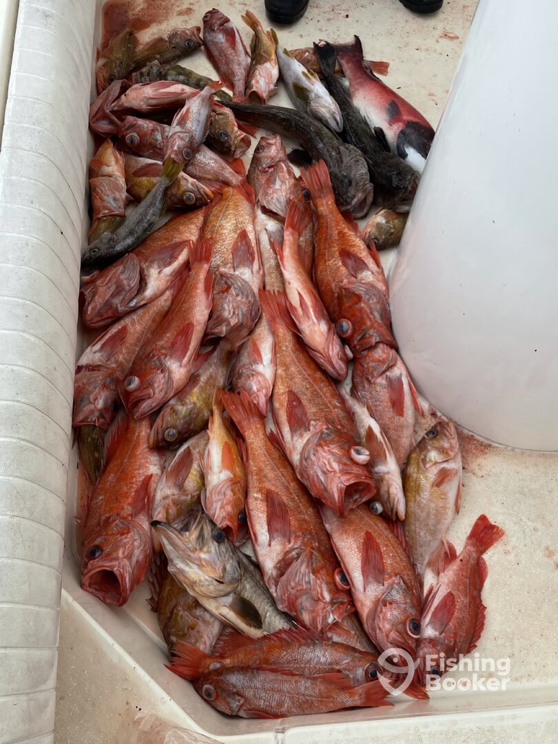 San Diego Report Photo 0