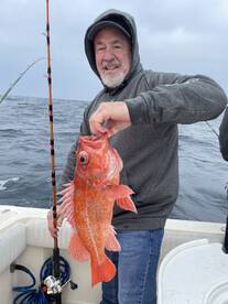 San Diego Report Photo 1