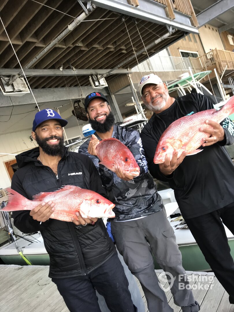 Venice Report Photo 0