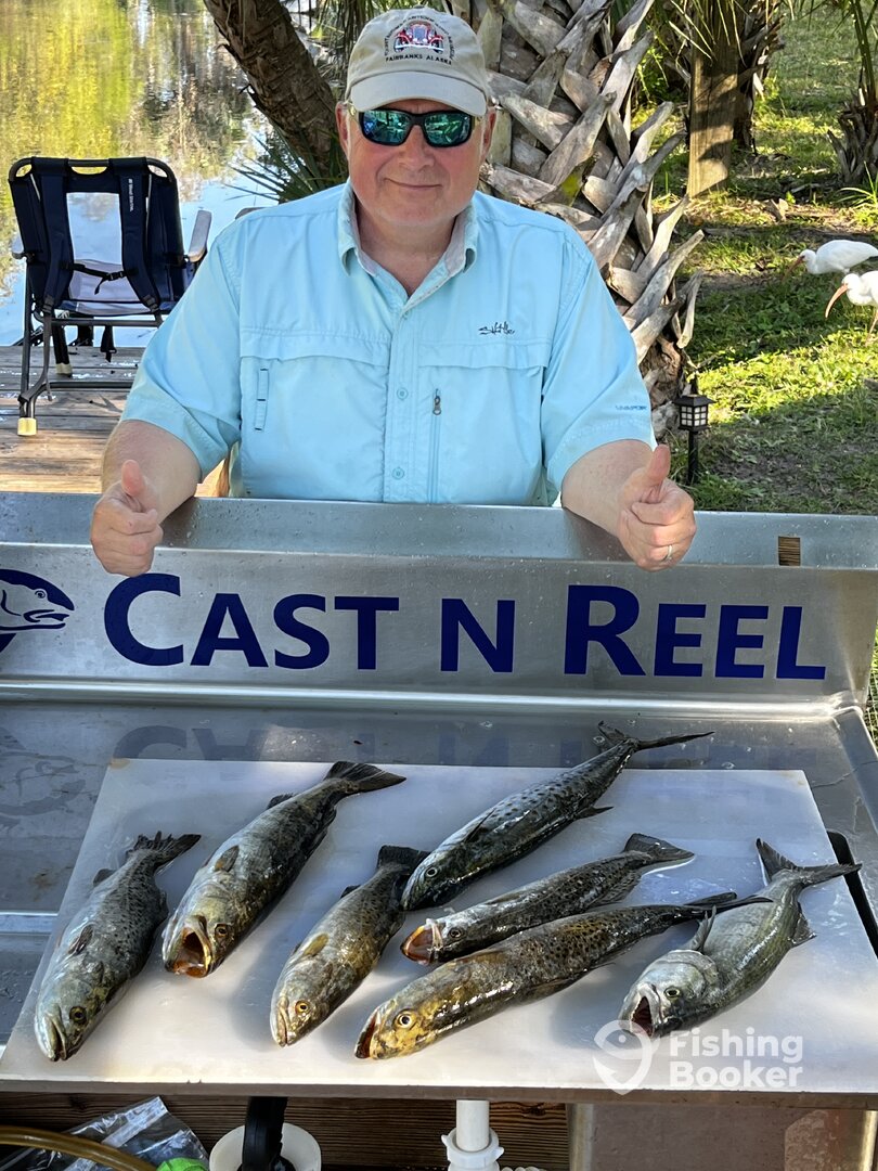 Crystal River Report Photo 0