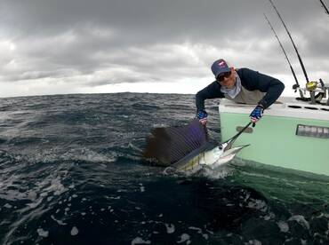 Quepos Report Photo 1