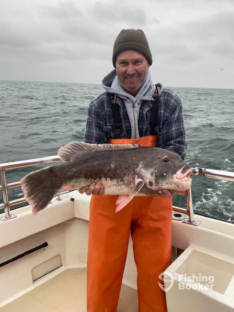 Montauk Report Photo 0