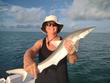 Atlantic Sharp-nosed