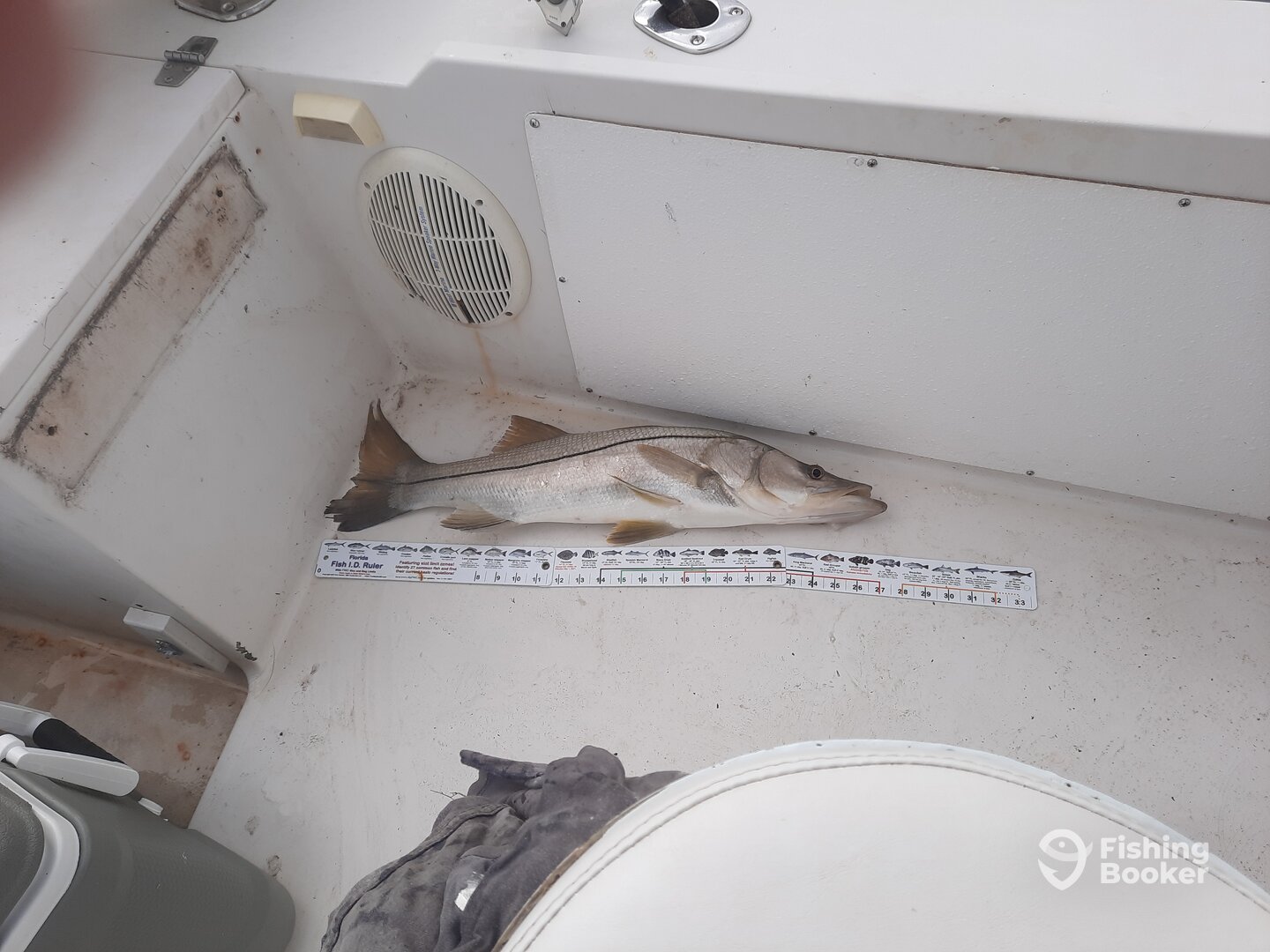 Port Canaveral Report Photo 0