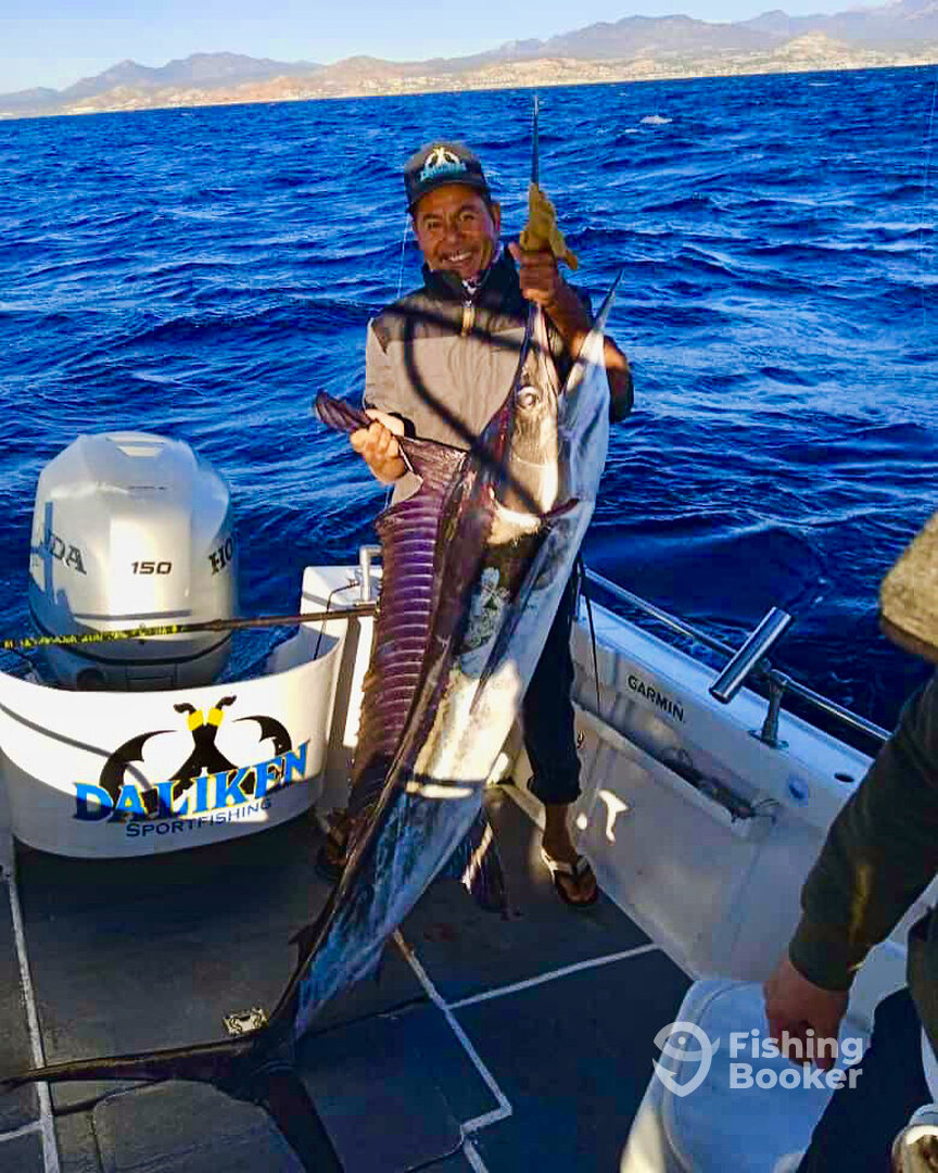 San Jose del Cabo Report Photo 0