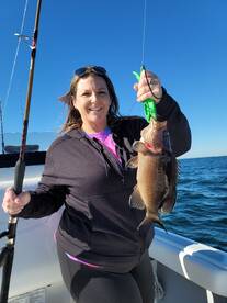 Shalimar Report Photo 1