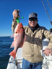 Awesome 3 Hour Gulf Trip