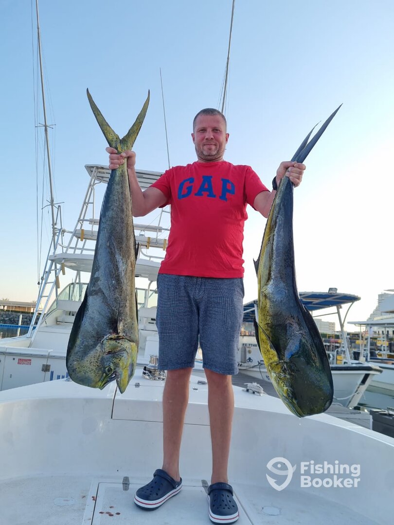 Fujairah Report Photo 0