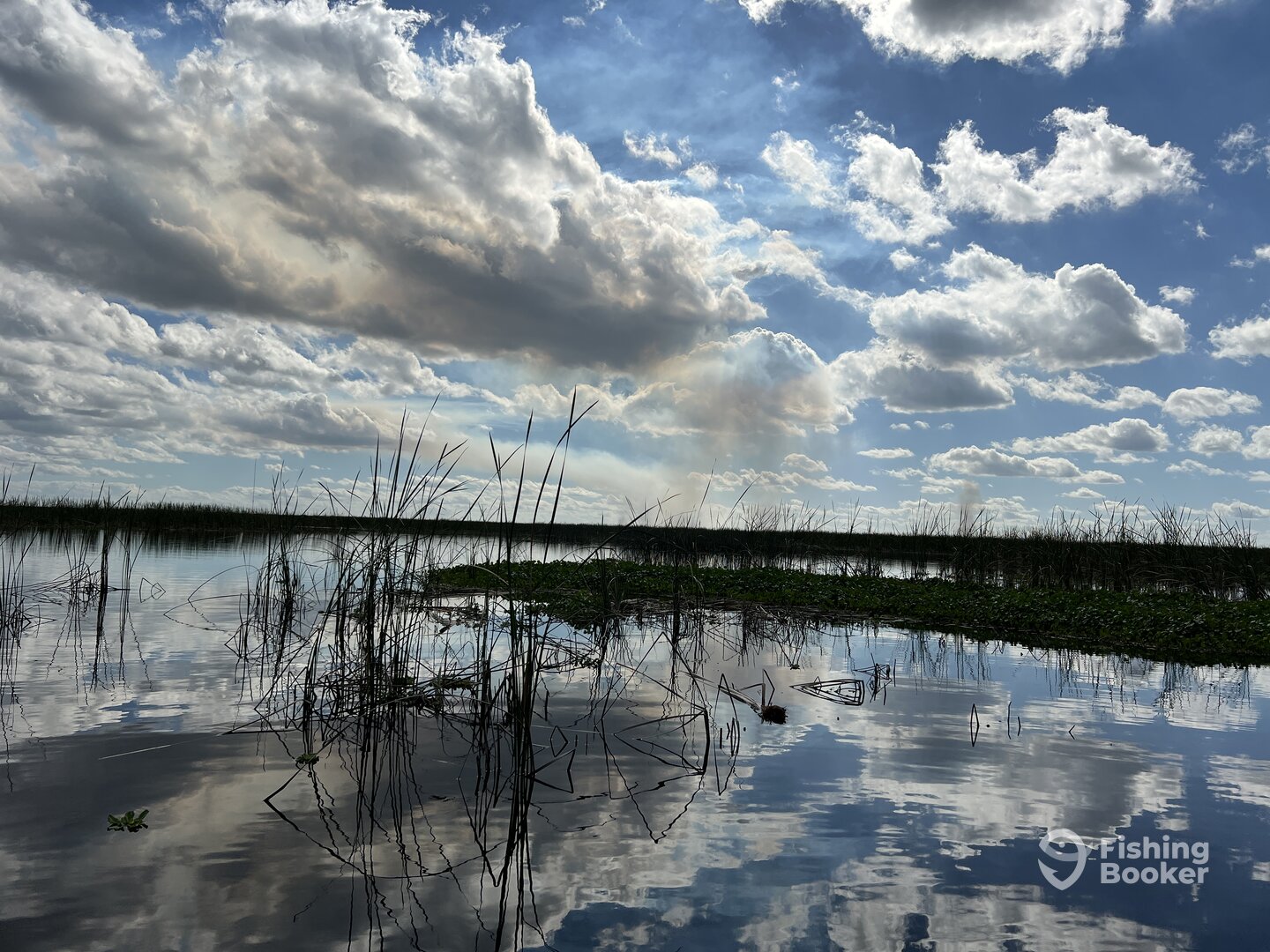 LOOKS LIKE A SNOW DRIFT TO ME.
