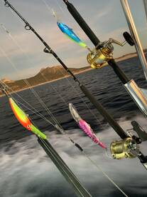 San Jose del Cabo Report Photo 2