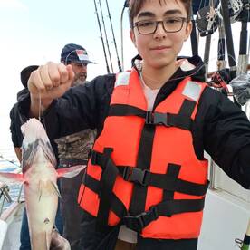 Ensenada Report Photo 2