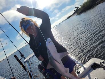 Port Orange Report Photo 2