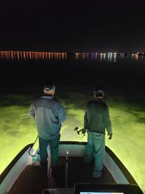 Tampa Report Photo 2