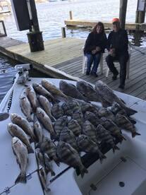 Venice Report Photo 2