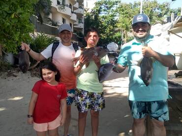 Triggerfish and windy weather